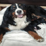 Mehr über den Artikel erfahren Unser K2-Wurf ist da!