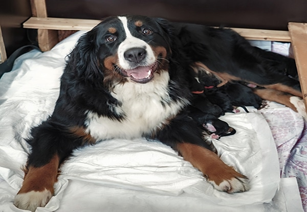 Du betrachtest gerade Unser K2-Wurf ist da!